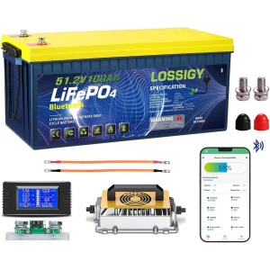 LOSSIGY 12V 200Ah Smart LiFePO4 Lithium Battery with 20A Charger, State of Health Monitor, 10-Year Warranty, Built-in 200A BMS, 2560Wh Energy for RV, Solar, Marine, Home and Off-grid